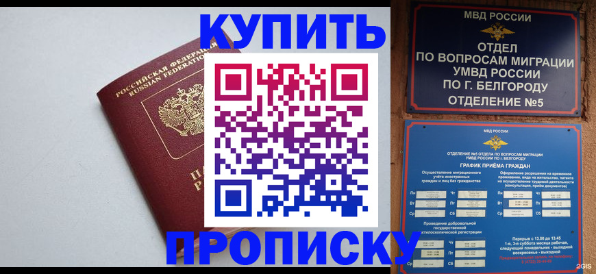 прописка регистрация в Мончегорске